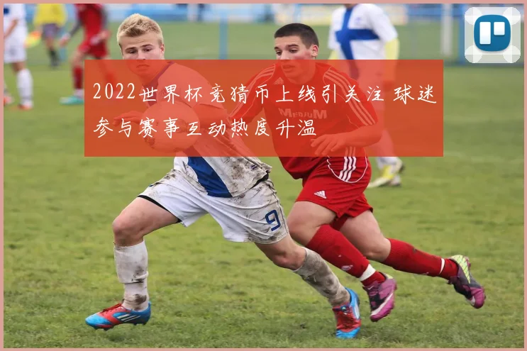 2022世界杯竞猜币上线引关注 球迷参与赛事互动热度升温