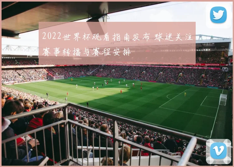 2022世界杯观看指南发布 球迷关注赛事转播与赛程安排