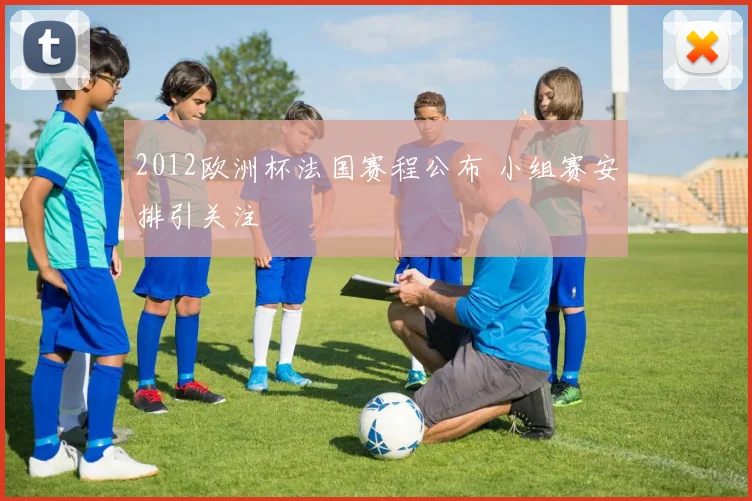 2012欧洲杯法国赛程公布 小组赛安排引关注
