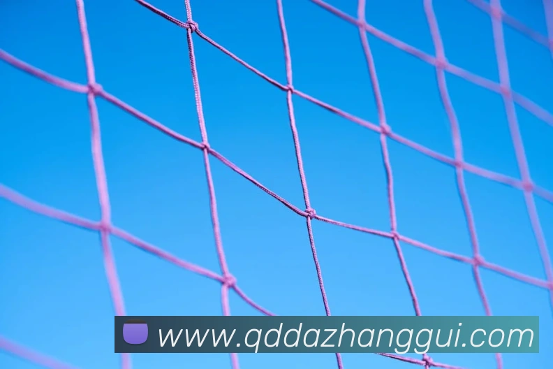 数据防护可视化